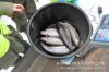 www.rusfishing.ru 2-й тур Чемпионата Русфишинга по зимней ловле ФОРЕЛИ 2016 - 1701.jpg