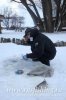 www.rusfishing.ru 3-й тур Чемпионата Русфишинга по зимней ловле ФОРЕЛИ 2016 - 330.jpg