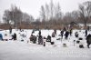 www.rusfishing.ru 4-й тур Чемпионата Русфишинга по зимней ловле ФОРЕЛИ 2016 - 1644.jpg