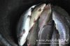 www.rusfishing.ru 4-й тур Чемпионата Русфишинга по зимней ловле ФОРЕЛИ 2016 - 1590.jpg