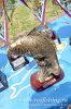 www.rusfishing.ru Рыбалка с Русфишинг Ловля карпа 2 тур ЛКЛ 2016 - 528.jpg