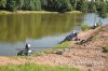 www.rusfishing.ru Рыбалка с Русфишинг Ловля карпа 6 тур ЛКЛ 2016 - 350.jpg