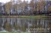 www.rusfishing.ru Рыбалка с Русфишинг Щучьи Забавы 2016 осень - 311.jpg