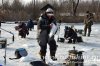 www.rusfishing.ru Рыбалка с Русфишинг Чемпионат по Ловле Форели 4-й тур 2017 - 1182.jpg