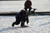www.rusfishing.ru Рыбалка с Русфишинг Чемпионат по Ловле Форели 4-й тур 2017 - 1185.jpg