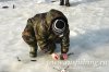 www.rusfishing.ru Рыбалка с Русфишинг Чемпионат по Ловле Форели 4-й тур 2017 - 1194.jpg