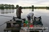 www.rusfishing.ru Рыбалка с Русфишинг Чемпионат по Ловле Карпа 4-й тур ЛКЛ 2017 - 330.jpg