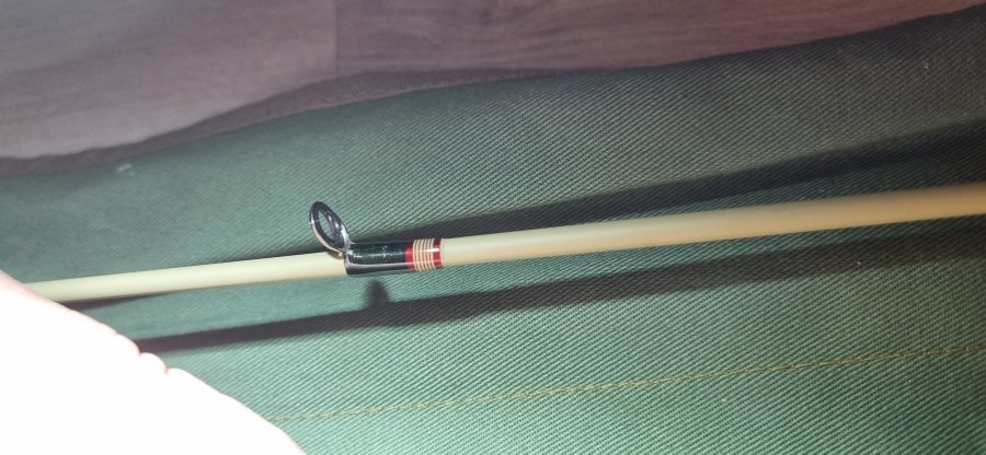 1000043707.jpg