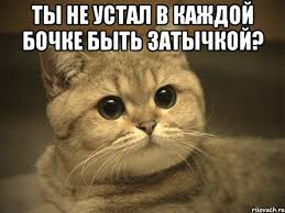 1737100526289.png
