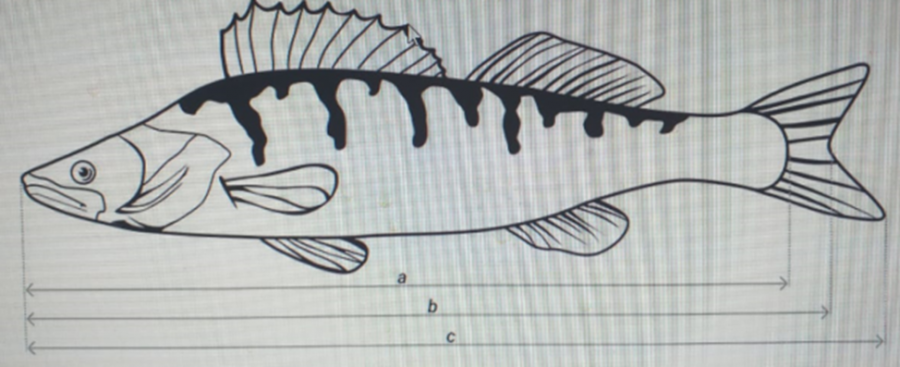 1740732374076.png