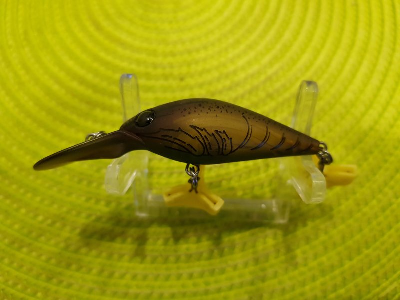 20190415_194209.jpg