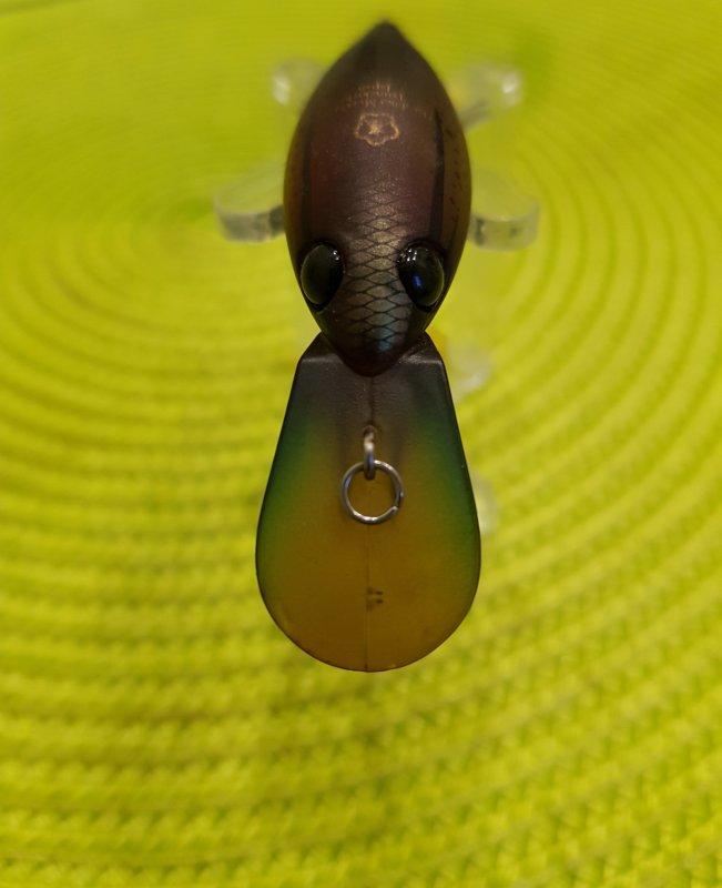 20190415_194646.jpg