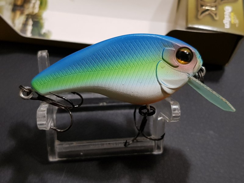 20190915_222607.jpg