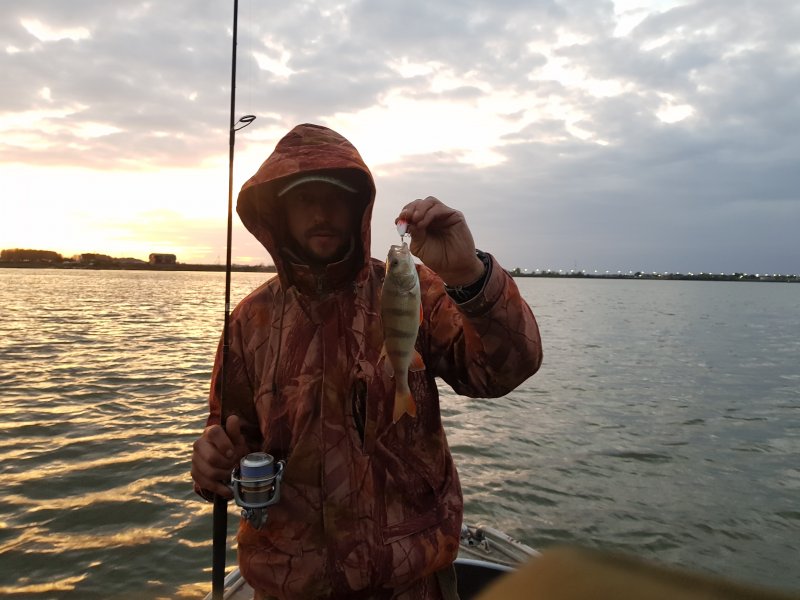 20190922_180225.jpg