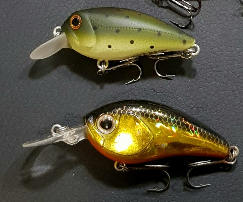 20191225_224634.jpg