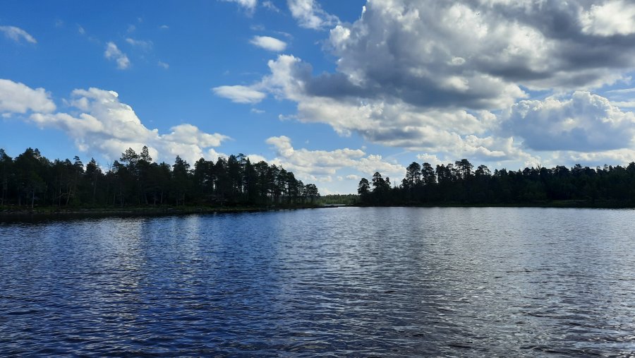 20230802_140756.jpg