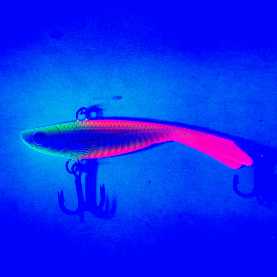 20241112_233559.jpg