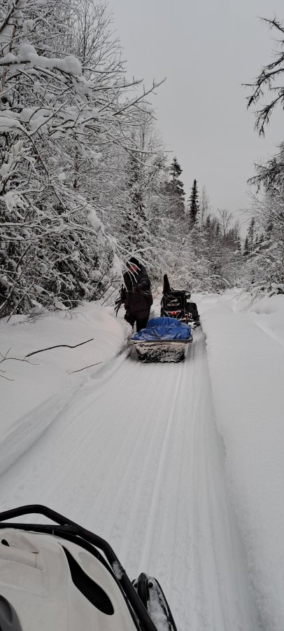 20250129_103137.jpg