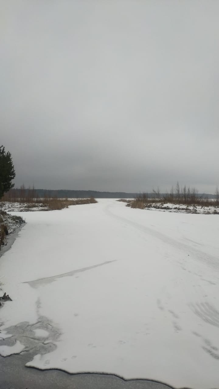 67f69b76-7294-49b0-9431-a658415f38c3.jpeg