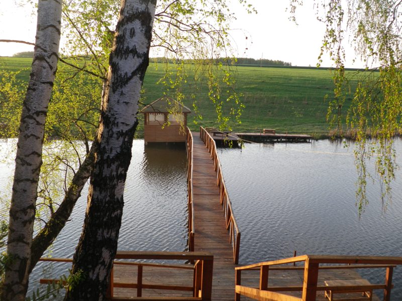 Нечаевский пруд Тульская область. Благодать пруды платная