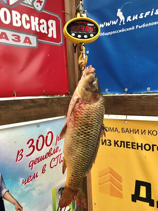 Конкурс - Рассказ о рыбалке