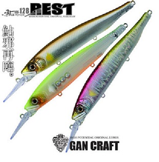 GAN CRAFT.jpg