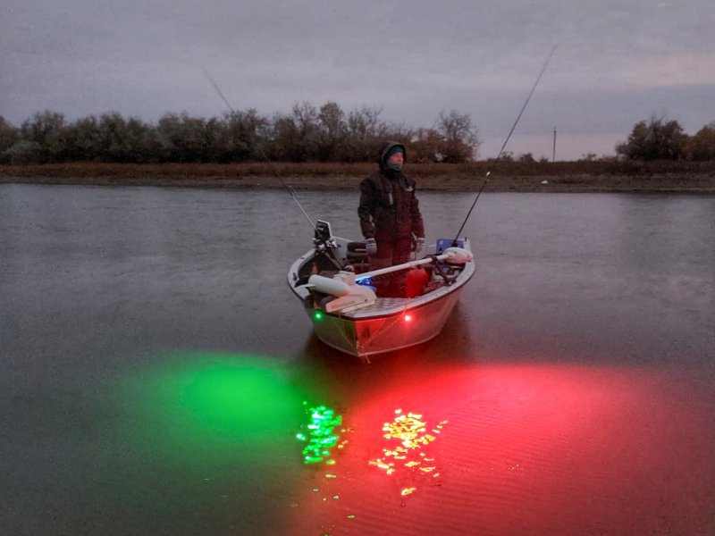 IMG-20211103-WA0003-01.jpeg