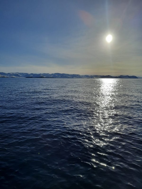 IMG-20220402-WA0005.jpg