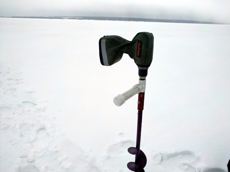IMG_20200125_121403.jpg