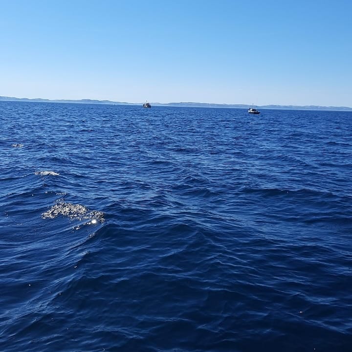 IMG_20211210_101943_826.jpg