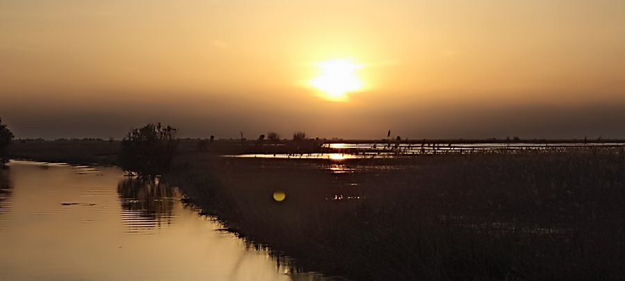 IMG_20250510_194353.jpg