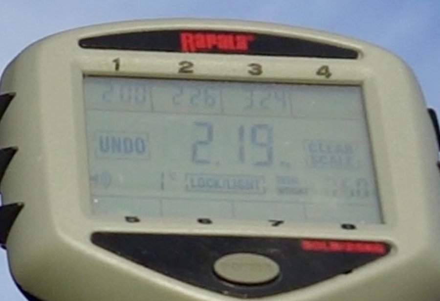 IMG_7755.jpeg
