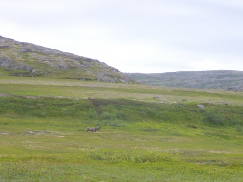IMGP3561.JPG
