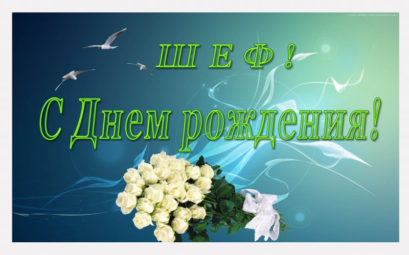 kartinki_nachalniku_s_dnem_rozhdeniya_3_03083230.jpg