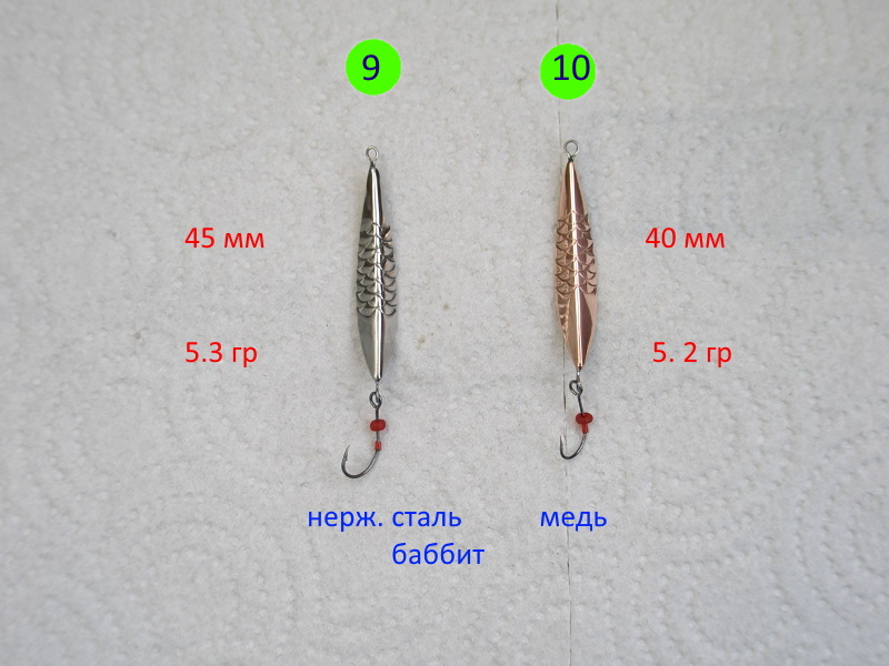 P1010031.JPG