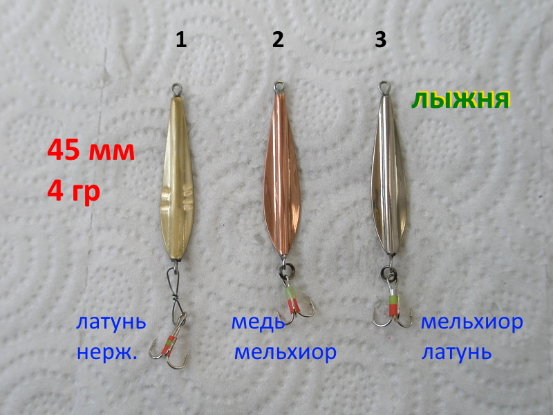 P1010049.JPG