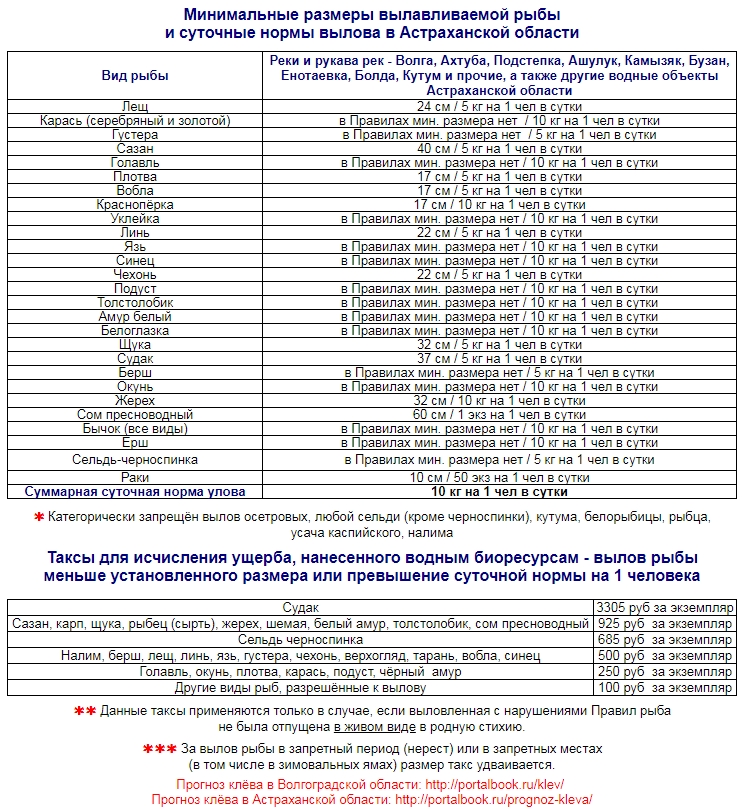 Таблица размеров вылова рыбы. Нормы вылова рыбы и Размеры в Астрахани. Таблица нормы вылова рыбы. Таблица размера рыбы в Астраханской области. Размеры рыбы разрешенной к вылову в Астраханской области.