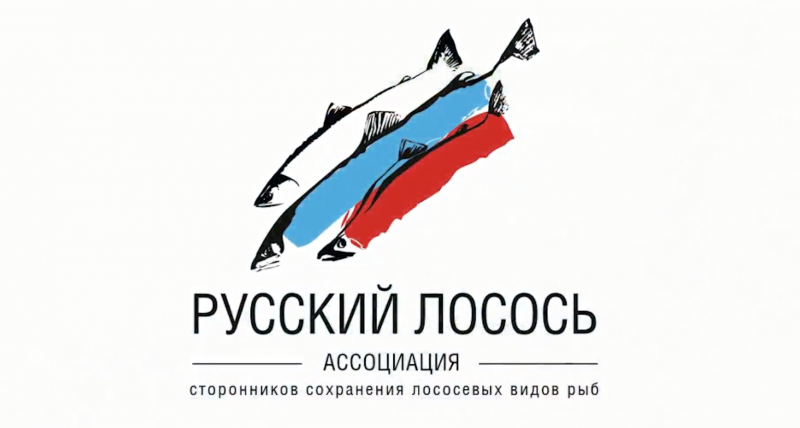 Русф.Пиар.Русский лосось .png