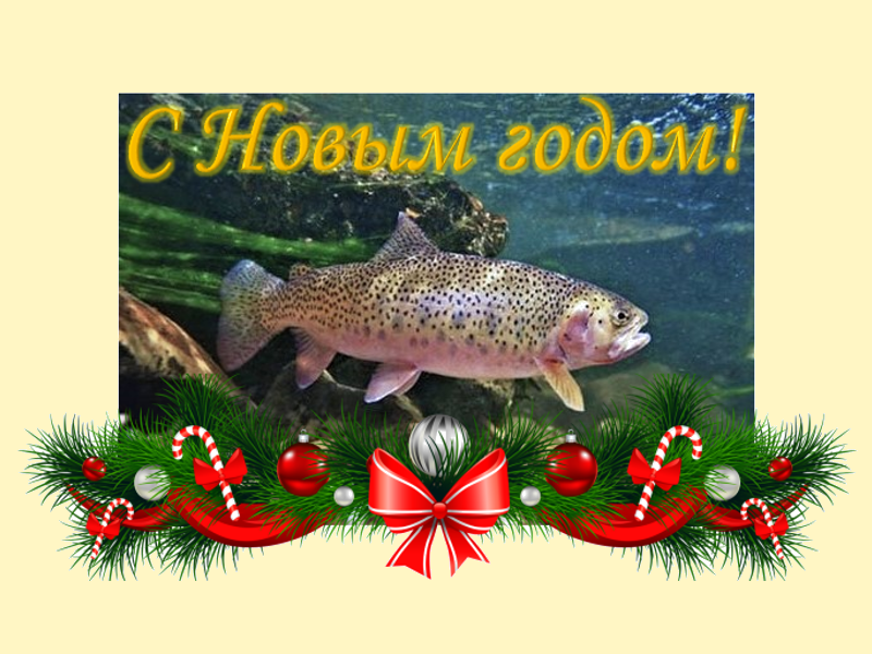 С Новым годом!!!.png