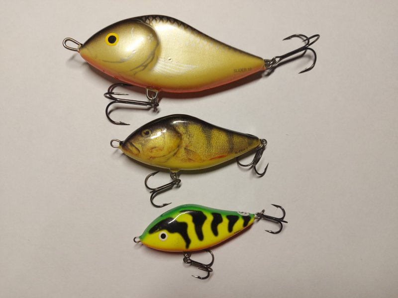 Salmo.jpg