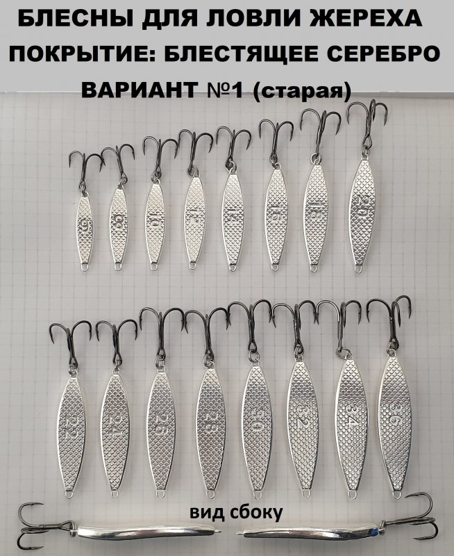 Вариант1 блест.jpg