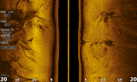 Screenshot_2022-08-11_17.42.30.png