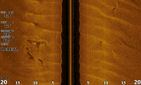 Screenshot_2022-08-11_19.11.15.png