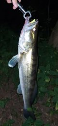 IMG_20220817_025416.jpg