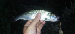IMG_20220817_045525.jpg
