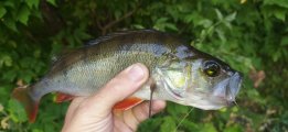 IMG_20220817_062520.jpg