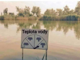 1660985129209.png