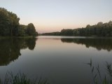 IMG_20220820_051516.jpg