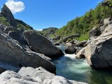 IMG_20220717_185555_204.jpg