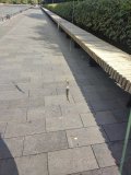 IMG_20220831_160731.jpg